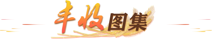 丰收图集