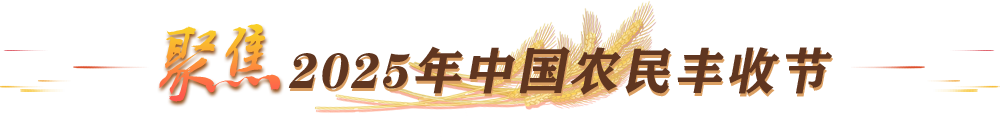 聚焦2025年中国农民丰收节