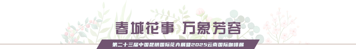 春城花事 万象芳容