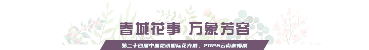 春城花事 万象芳容