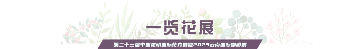 一览花展