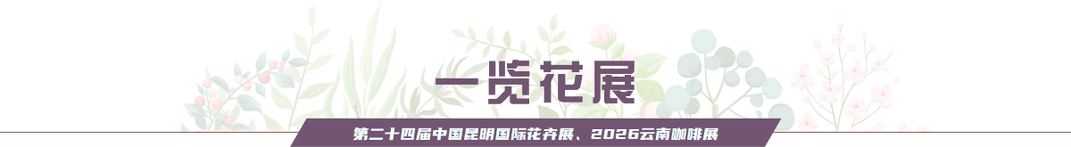 一览花展