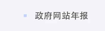 政府网站年报