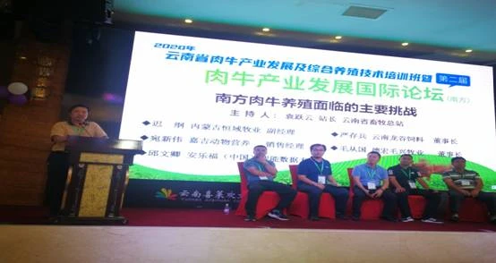 图11.jpg