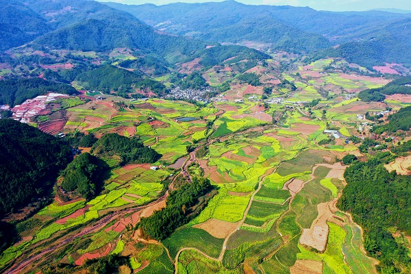 鎮沅縣融媒體中心供圖恩樂鎮民江村甘蔗種植戶李發願正在忙活.