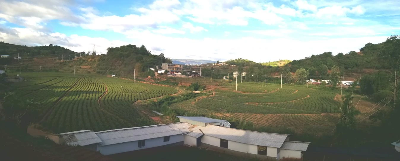 昆明市禄劝县团街镇现有90亩土地出租