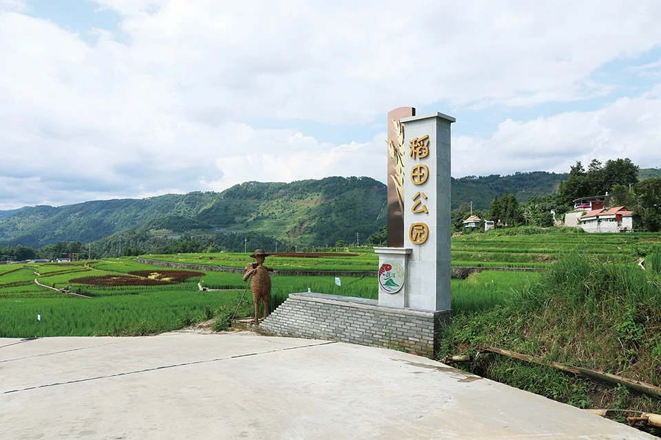 当东"稻"主 圆田园梦—保山市龙陵县龙江乡推出"我在龙江有点田"