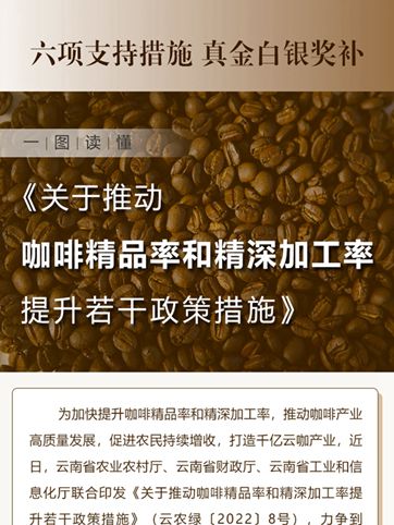 六项支持措施 真金白银奖补一图读懂《关于推动咖啡精品率和精深加工率提升若干政策措施》