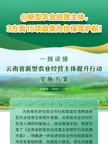 @新型农业经营主体，3方面15项政策为你保驾护航！ 一图读懂《云南省新型农业经营主体提升行动实施方案》