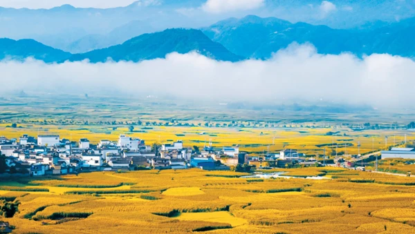 一周云农资讯3月18日3月24日