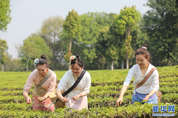 一周云农资讯3月18日3月24日
