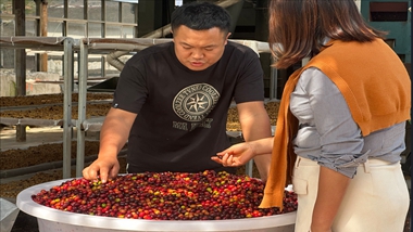 保山市隆阳区芒宽乡致富带头人胡树林：“认准了咖啡这个行业，我就想长期干下去”