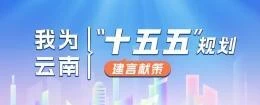 我为云南“十五五”规划建言献策