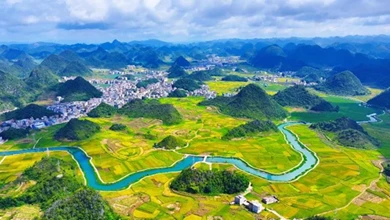 文山广南：秋染稻田绘丰年