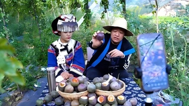 昆明市东川区阿旺镇：开出致富“三联单” 拓宽强村富民路