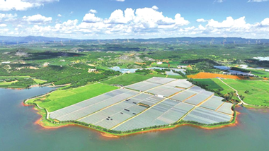 曲靖市富源县：一个乡村的振兴密码