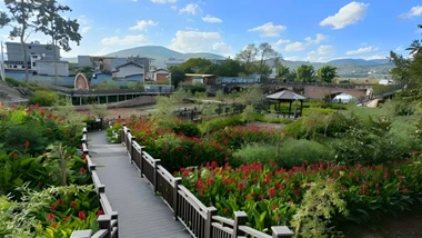 楚雄州南华县：绿美建设 美美与共