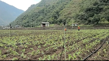 昭通市彝良县柳溪乡：中央彩票公益金助力 绘就乡村振兴新图景