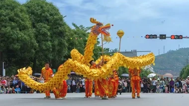 红色引领 产业振兴——富宁县里达镇以中彩项目撬动革命老区乡村振兴新实践