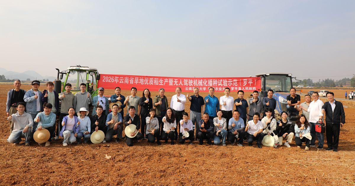 2026年云南省旱地优质稻生产暨无人驾驶机械化播种田间试验示范活动在曲靖罗平举办